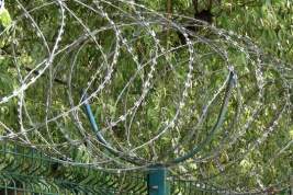 Латвия построила на границе с Россией 93-километровый забор с колючей проволокой