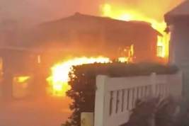 Лесные пожары на Гавайях унесли жизни 67 человек: уничтожена бывшая столица островов – Лахайна