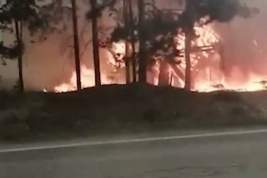 Лесные пожары в Свердловской области добрались до пороховых складов в поселке Первомайский