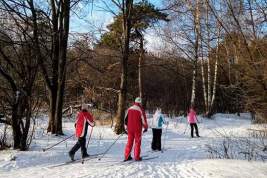 Любителям зимних видов спорта готовят катки и лыжню в Подмосковье