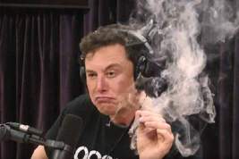 Маск заявил, что не употреблял марихуану в прямом эфире