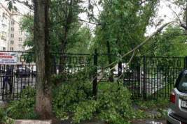 МЧС предупреждает: в Москве ожидается дождь и ураганный ветер