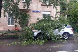МЧС выпустило очередное штормовое предупреждение для жителей Москвы