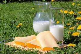 Минсельхоз сообщил о возможном подорожании молочной продукции