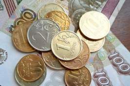 Мишустин назвал жадность причиной роста цен в России
