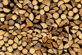 Молдавский министр покинула пост после скандала из-за покупки дров