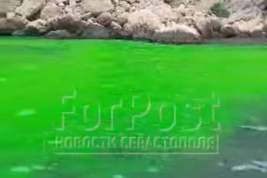 Море у Балаклавы позеленело: власти объяснили это неудавшейся провокацией