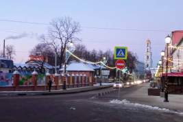 Морозы в Подмосковье: водителям предлагают на время присоединиться к пассажирам общественного транспорта