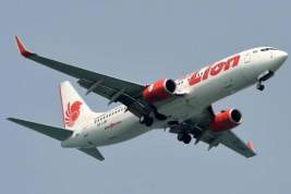 На месте крушения индонезийского Boeing нашли останки десяти погибших