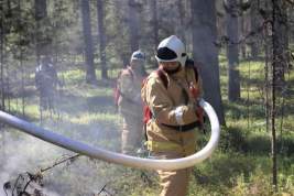 На территории России потушили все лесные пожары