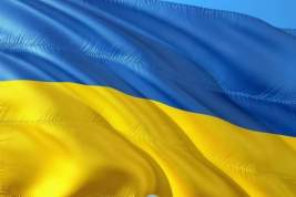 На Украине задержали более 2000 пытавшихся избежать мобилизации граждан