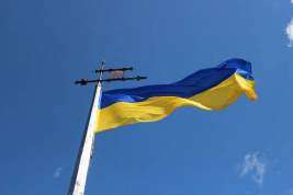 На Украине захотели вернуть контроль над Донбассом до конца текущего года