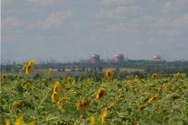 На украинской АЭС отключили третий энергоблок из-за срабатывания защиты