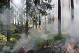 На всей территории Карелии введён режим ЧС из-за лесных пожаров