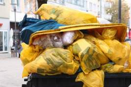 Незаконно выброшенный мусор – за июнь в Истре выявили 48 таких случаев