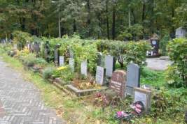 Нижегородские вандалы-третьеклассники повредили несколько десятков надгробий на кладбище
