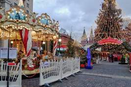 Новогодние ели с оригинальными игрушками украсили центр города и 39 парков Москвы