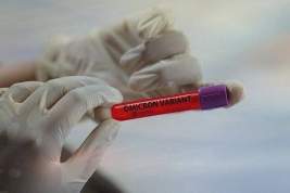 Омикрон-штамм коронавируса обнаружили в 55 регионах России