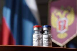 Опрос показал недоверие российских врачей к отечественной вакцине от COVID-19