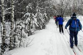 Опытные и юные московские лыжники поучаствуют в ежегодных соревнованиях