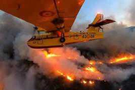 Остров Тенерифе охватили лесные пожары: эвакуированы тысячи человек