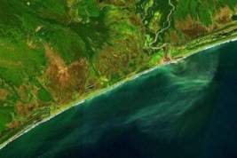 Отравление акватории Авачинского залива на Камчатке ядохимикатами с Козельского полигона не подтвердилось