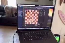 Пациент с чипом Neuralink компании Илона Маска сыграл в шахматы силой мысли