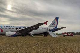 Пассажирский самолет «Уральских авиалиний» экстренно сел в пшеничном поле под Новосибирском из-за проблем с гидравликой