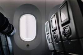 Павел Мамаев устроил скандал на рейсе авиакомпании Flydubai