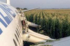 Пилоты «Уральских авиалиний» посадили А321 с отказавшими из-за птиц двигателями в кукурузном поле и спасли 233 человека