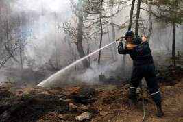 Почему с каждым годом огненная стихия в Красноярском крае становится всё злее и беспощаднее?