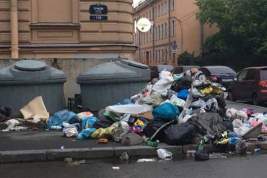 Почему Санкт-Петербург захлебывается от бытового мусора