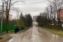 Подрядчик ПИКа вырубил посаженную 70 лет назад Аллею ветеранов в Одинцово