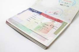 Политолог оценил возможность возобновления выдачи американских виз в Москве
