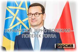 Польские фермеры требуют ограничить экспорт украинского зерна в Европу, а премьер Матеуш Моравецкий – подачек от ЕС