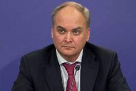 Посол РФ в США призвал Human Rights Watch не лгать о борьбе с COVID-19 в России