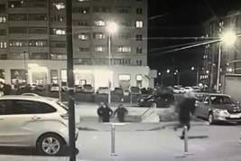 Появились подробности о нападении на мужчину с ребенком в Новой Москве