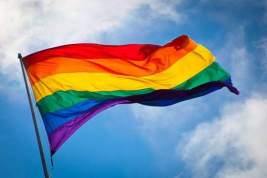 Правозащитники выпустят памятку для геев о нормах поведения в России к ЧМ-2018