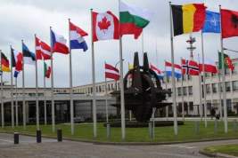 Президент Литвы: НАТО помогает Вильнюсу эффективно сдерживать Россию