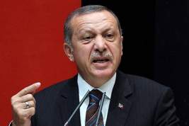 Президент Турции обосновал право Анкары на проведение военной операции в Сирии