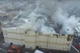 При пожаре в кемеровском торговом центре погибли пять человек и около 200 животных