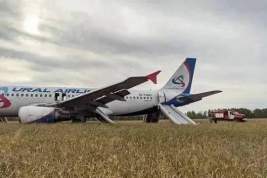 Приземлившийся в пшеничном поле под Новосибирском самолет «Уральских авиалиний» будет утилизирован