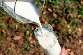 Производители молока начали продавать товар в пакете с надписью «1 кг»