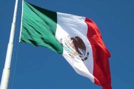 Протестующие в Мексике выбили дверь во дворце президента