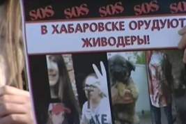 Против живодерок из Хабаровска возбужден целый ряд уголовных дел