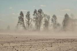 Пылевая буря обрушилась на Красноярск