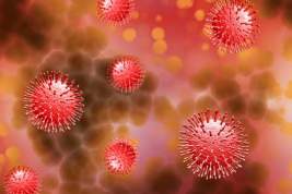 Распространение пандемии коронавируса на глобальном уровне ускоряется – ВОЗ