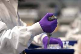 Разведка не обнаружила доказательств версии об утечке коронавируса из лаборатории в Ухане