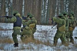 РФ нарастит войска на северном направлении при вхождении Швеции и Финляндии в НАТО