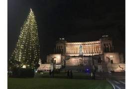 Римляне назвали свою рождественскую ель самой уродливой в мире